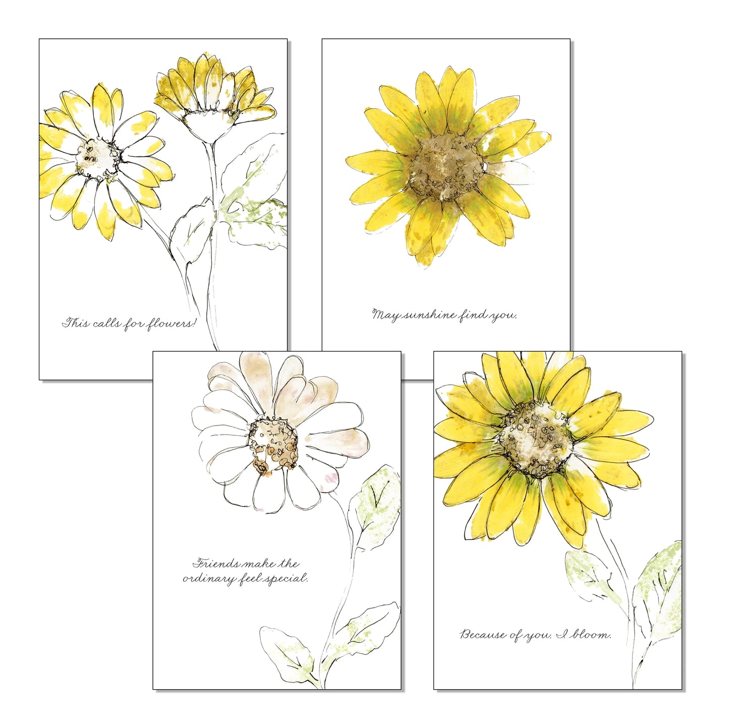Bloom & Ink Complete Set — 8 Notecards