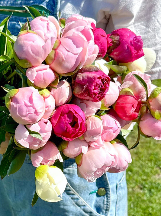 What to Expect When You Order Peonies Online