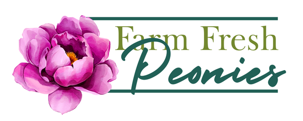 Farm Fresh Peonies