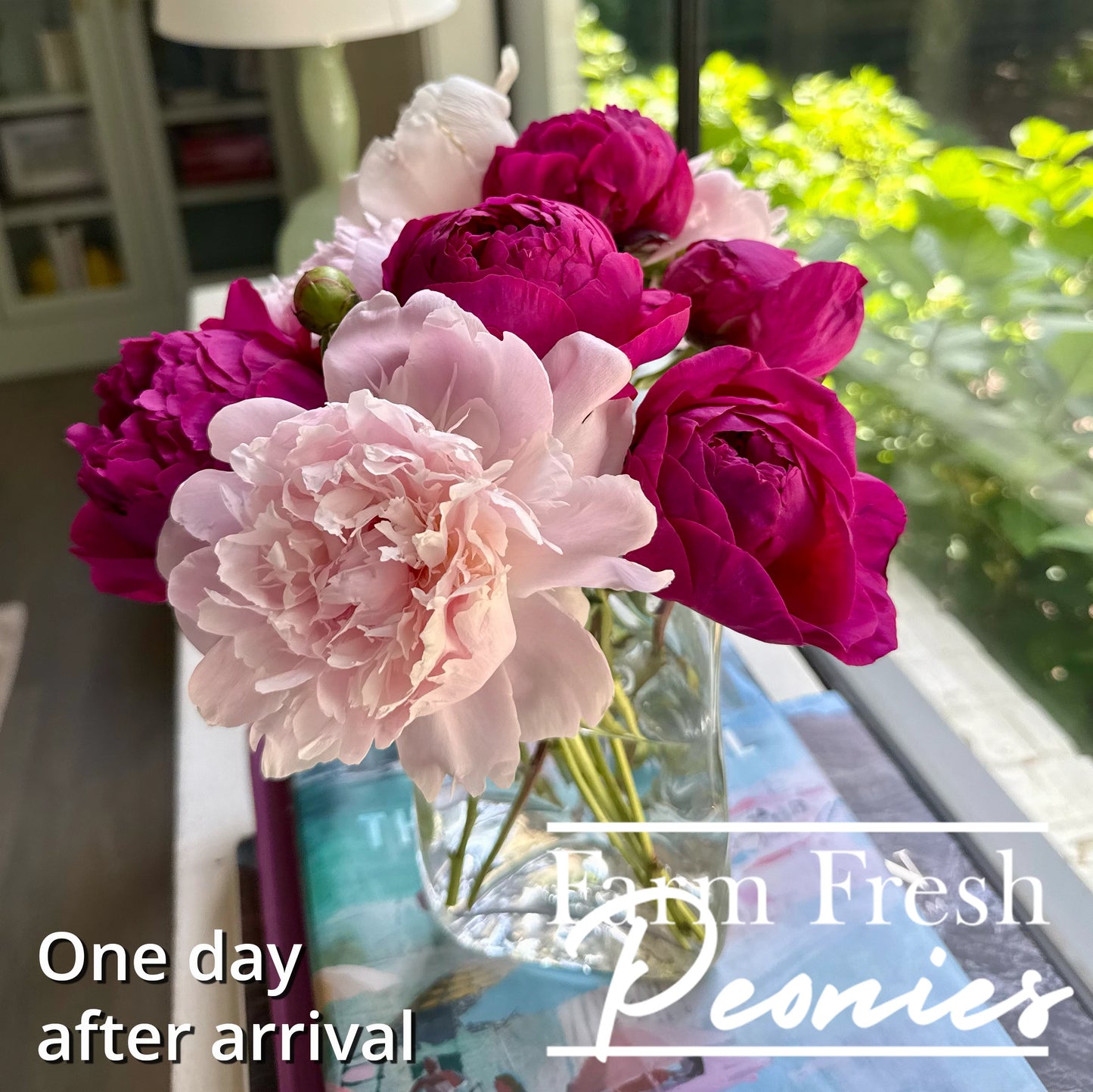 Bouquet of pink and purple peonies in a clear vase on a table with 'Farm Fresh Peonies' text.